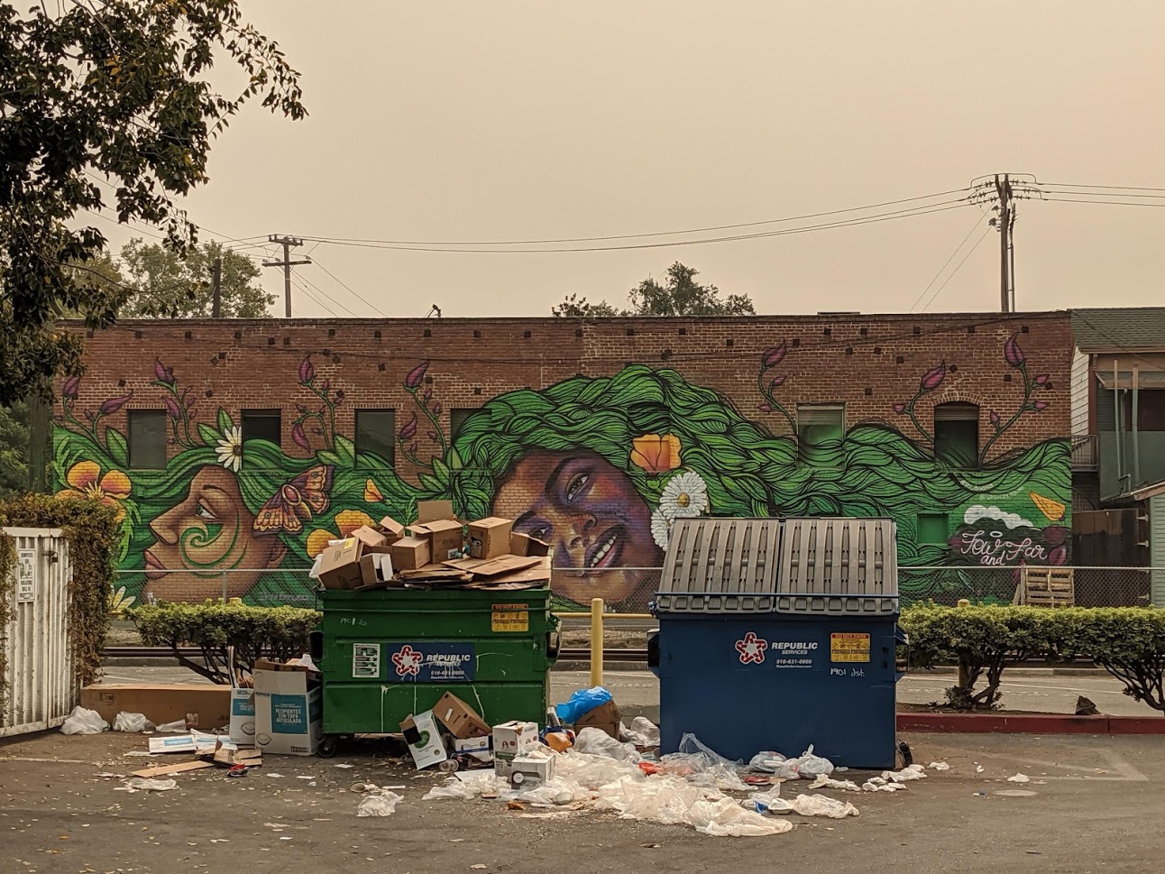 The meme is a screenshot of a Reddit comment with a photo of a trash-filled parking lot. The comment reads "This is the most realistic depiction of my college experience." The image shows a chaotic and messy scene, with trash and debris scattered all over the parking lot, and a dumpster overflowing with garbage.